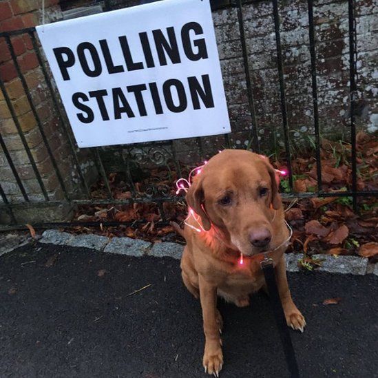 Buster is all lit up outside a polling station in Wantage, Oxfordshire