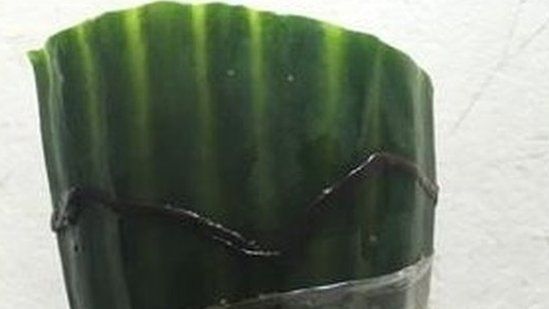 Picture of dead worm on Tesco bought cucumber
