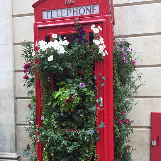 Telephone box with flowers