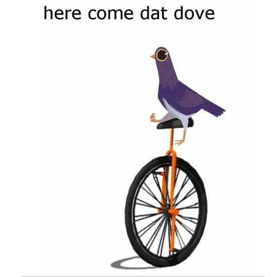 Here come that dove meme