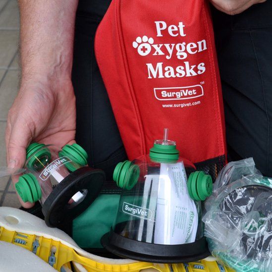 Shetland firefighters use oxygen masks for animals BBC News