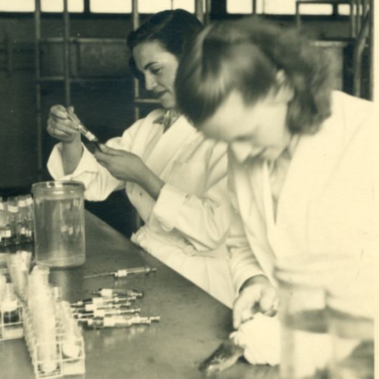 Pregnancy testing with toads in the early 1950s at the NHS laboratory in Watford. Audrey injects a toad with urine from a possibly pregnant woman