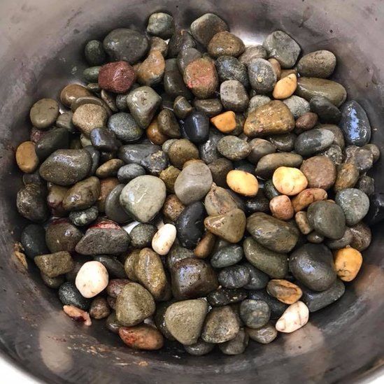 Pebbles extracted from the dog's stomach