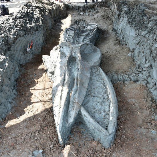 Thailand: Rare whale skeleton discovered - BBC News