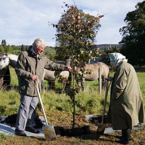 Queen Elizabeth II and then Prince Charles planting a tree