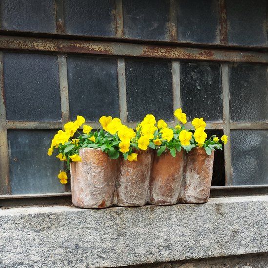 Yellow flowers in Italy