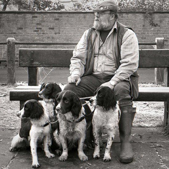 Man with spaniels