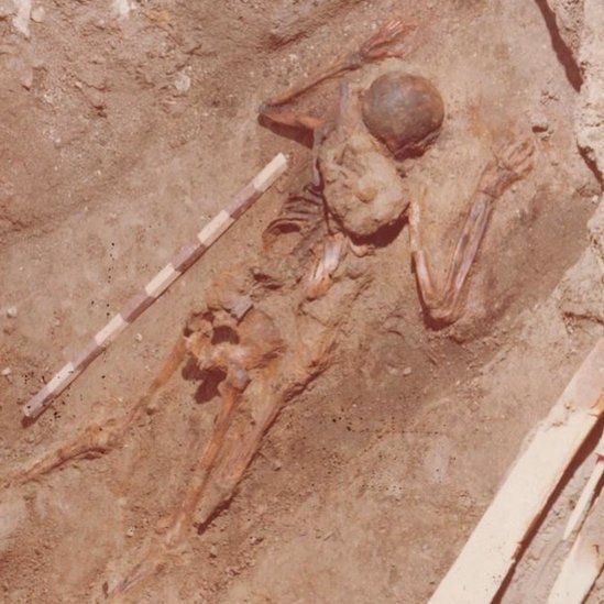 Сумка с инструментами была найдена вместе со скелетом при раскопках