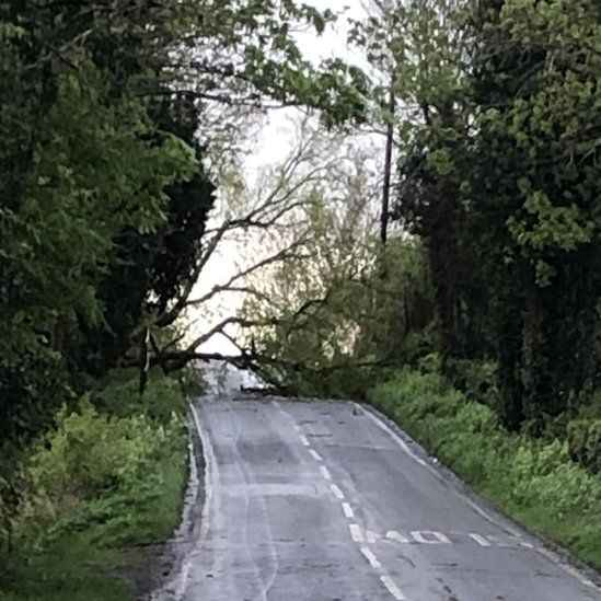 A tree blocking the road in Rycroft Road, Hemington