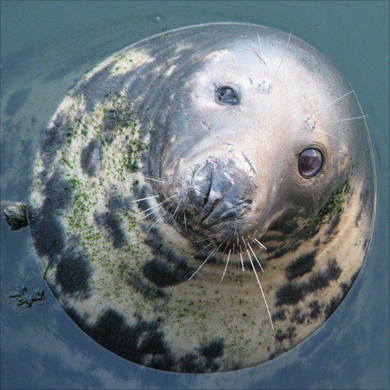 Your pictures of Scotland: 17-24 Sept - BBC News