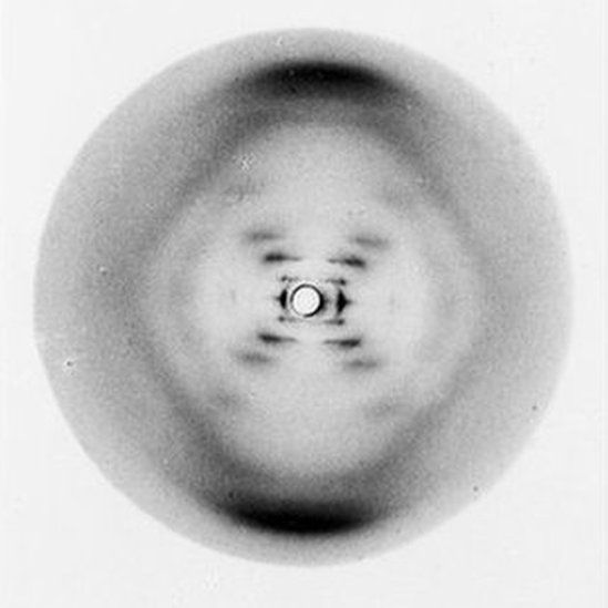 Photo 51: DNA X-ray diffraction image