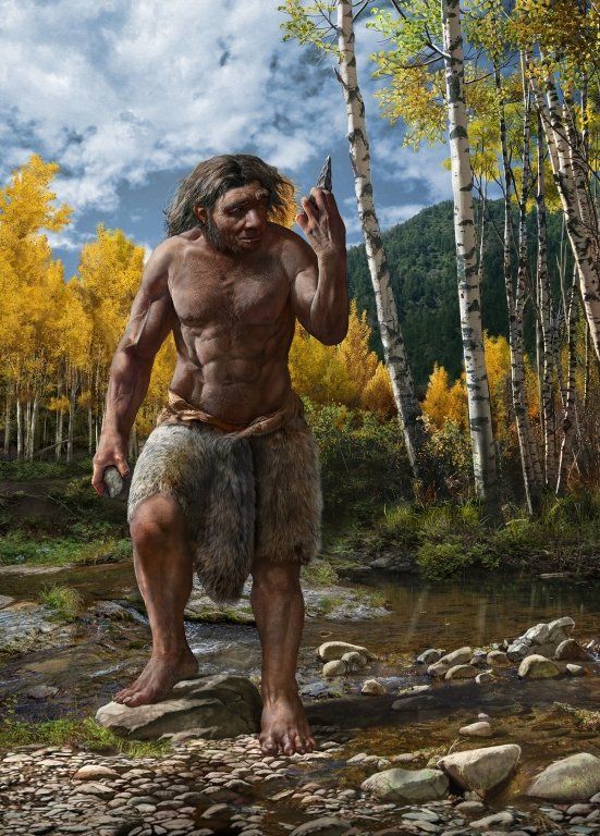 New Ancient Species Could Be Humans Closest Relative Bbc Newsround