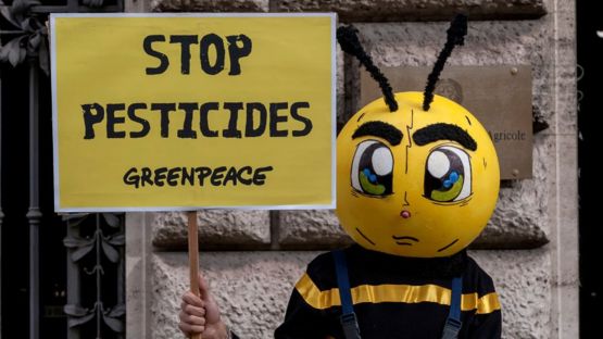Protesta contra los pesticidas