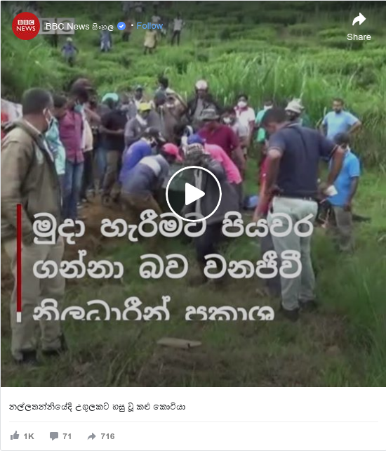 Facebook හි BBC News සිංහල කළ පළකිරීම: නල්ලතන්නියේදී උගුලකට හසු වූ කළු කොටියා