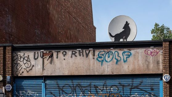 Image of black silhouetted wolf painted on satellite dish so it looks like a moon above a shop with blue shutters in Peckham Rye