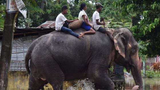 Floods in India, Nepal, and Bangladesh leave 250 dead Floods in India, Nepal, and Bangladesh leave 250 dead