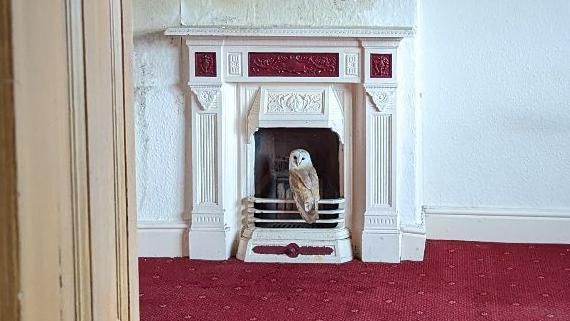 owl on fireplace