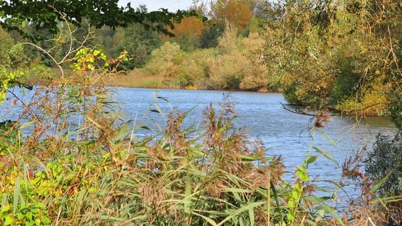 Paxton Pits Nature Reserve, Little Paxton, Cambridgeshire