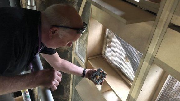 Motion cameras being placed in swift boxes at the top of Durham Cathedral Belfy Tower