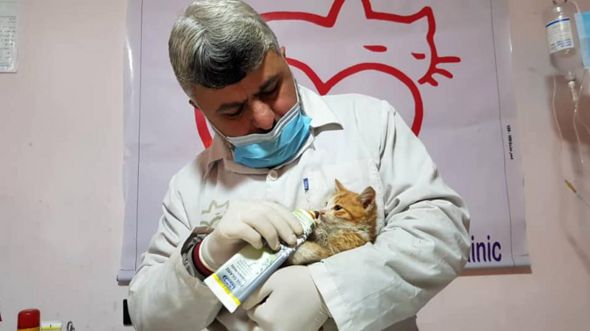 The sanctuary's vet, Dr Youssef