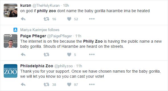 Kenny ➆ on X: We did it Reddit!! Press F to pay respects to the Cincinnati  Zoo's Twitter always remember #harambe  / X