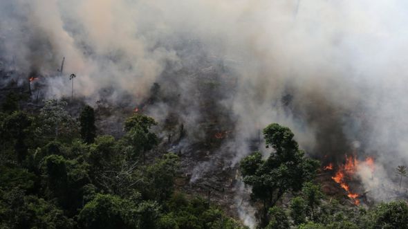 An aerial view of a tract of Amazon jungle burning as it is cleared by loggers and farmers near the city of Novo Progresso, Para state.