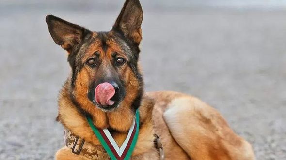 Kare Mally ya taka muhimmiyar rawa a yakin Afghanistan