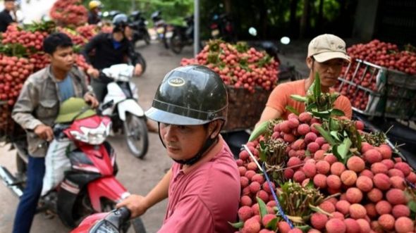 Cuộc sống ở Việt Nam đang trở lại bình thường, ảnh ngày 9/6, tỉnh Bắc Giang