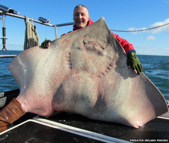 the worlds biggest fish ever caught