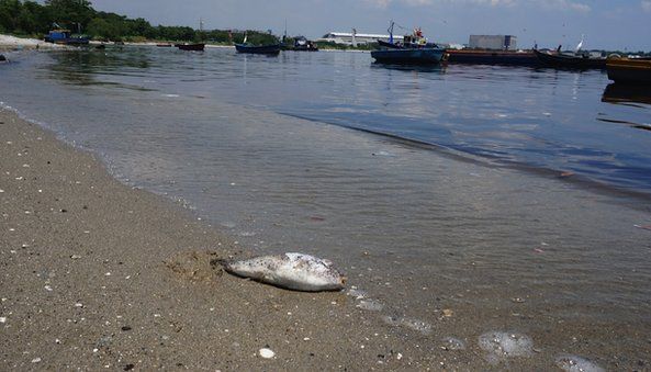 More problems for Rio as oil turns white boats to brown at Olympic