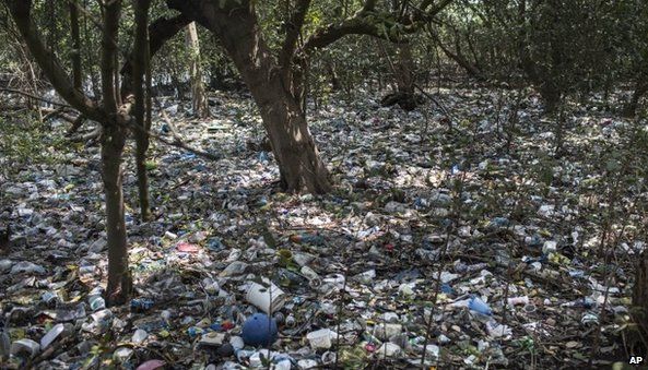 Rubbish litters a forested area on the shores of Guanabara Bay