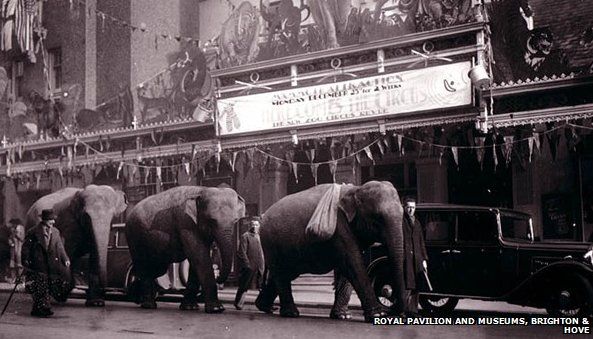 Elephants outside the Brighton Hippodrome