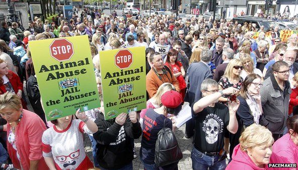 Hundreds attend animal rights rally in Belfast city centre - BBC News