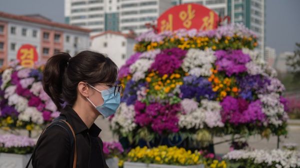 朝鲜平壤一名女士戴着口罩走过庆祝太阳节的花坛（15/4/2020）