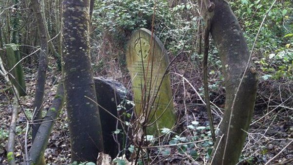 overgrown graves