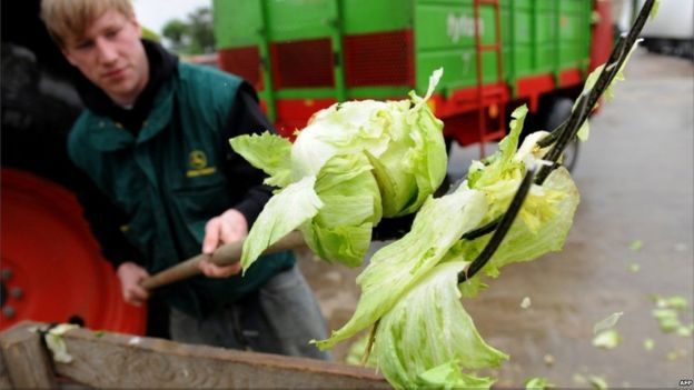 Produk sayuran Eropa  terbuang buang BBC News Indonesia