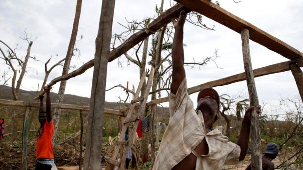 Un grupo de haitianos construye la base de una casa con palos de madera tras el paso del huracán Matthew.