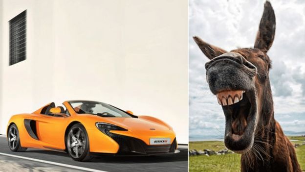 'கேரட்' என நினைத்து காரை கடித்த கழுதை: உரிமையாளருக்கு அபராதம்?