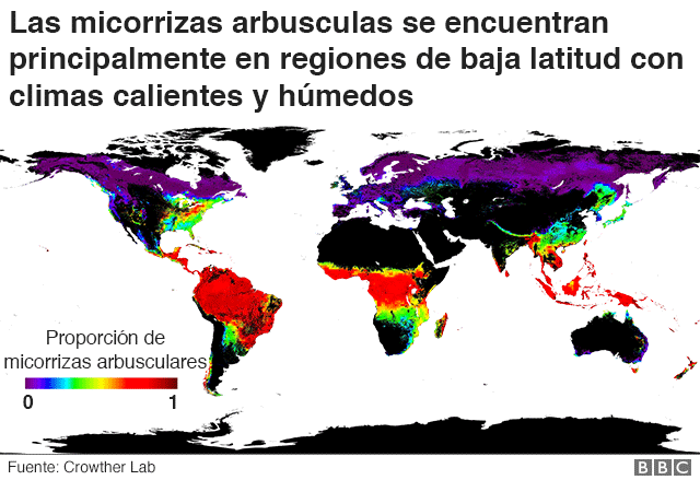 Mapa de distribución de micorrizas arbusculares