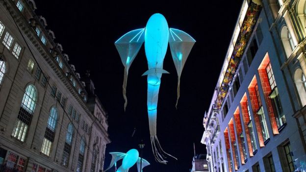 Les Lumineoles
