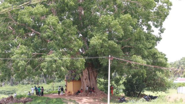 'மினி கோடம்பாக்கம்'