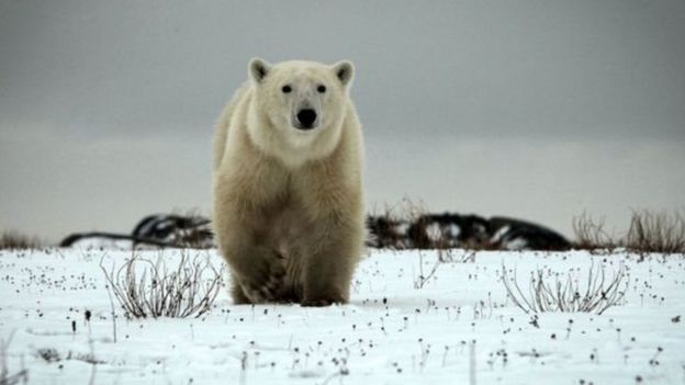 கோப்புப் படம்