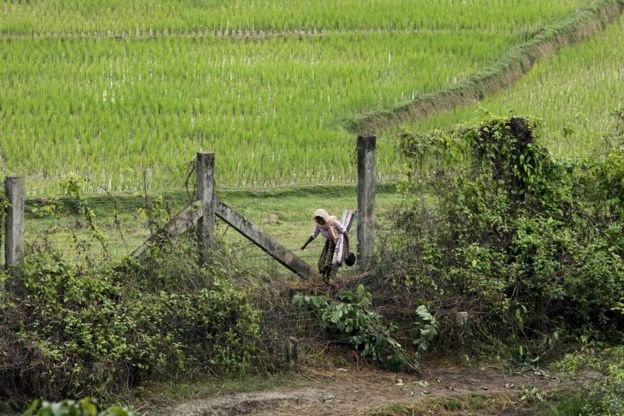 rohingya
