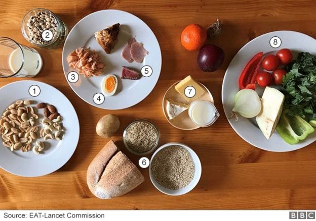 Guía de alimentos que incluye la dieta