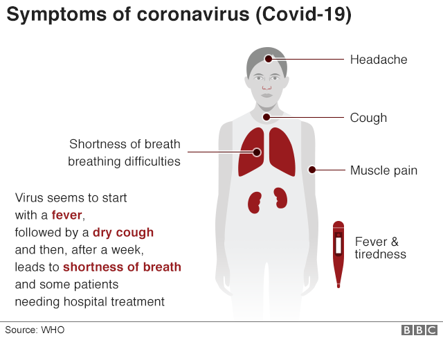 Infographic showing the symptoms of the coronavirus