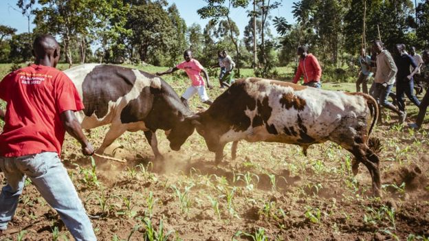 Ã Â®ÂÃ Â®Â°Ã Â®Â®Ã Â¯ÂÃ Â®ÂªÃ Â®Â¿Ã Â®Â¤Ã Â¯ÂÃ Â®Â¤Ã Â®Â¤Ã Â¯Â Ã Â®ÂªÃ Â¯ÂÃ Â®ÂÃ Â¯ÂÃ Â®ÂÃ Â®Â¿!