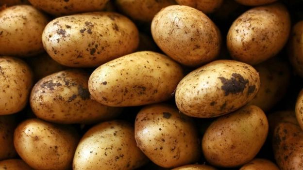 Papas