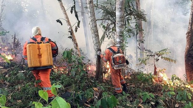 Bombeiros de Porto Velho combatem chamas em Rondônia