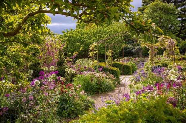 International Garden Photographer of the Year winners revealed - BBC News