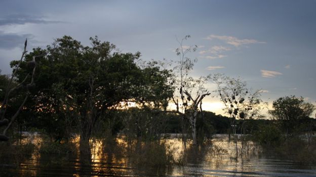 Entardecer no Rio Negro, Amazônia
